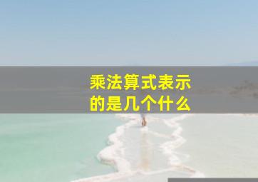 乘法算式表示的是几个什么