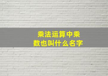 乘法运算中乘数也叫什么名字