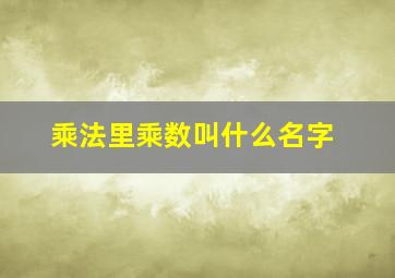 乘法里乘数叫什么名字