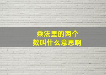 乘法里的两个数叫什么意思啊