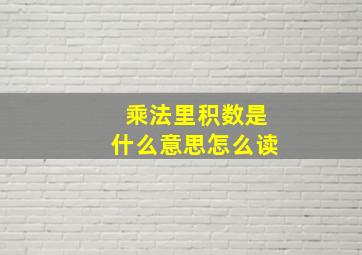 乘法里积数是什么意思怎么读