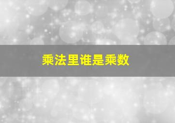 乘法里谁是乘数