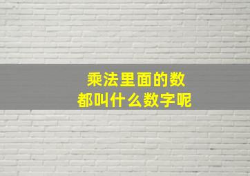 乘法里面的数都叫什么数字呢