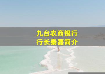 九台农商银行行长秦磊简介