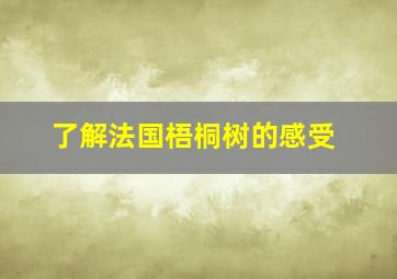 了解法国梧桐树的感受