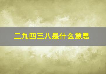 二九四三八是什么意思