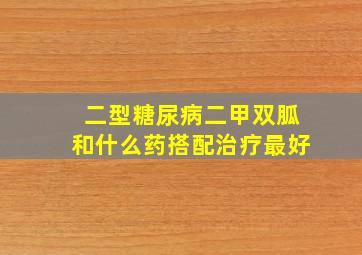 二型糖尿病二甲双胍和什么药搭配治疗最好