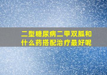 二型糖尿病二甲双胍和什么药搭配治疗最好呢