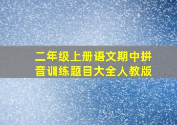 二年级上册语文期中拼音训练题目大全人教版