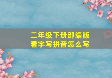 二年级下册部编版看字写拼音怎么写