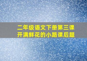 二年级语文下册第三课开满鲜花的小路课后题