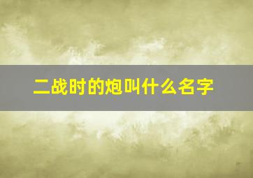 二战时的炮叫什么名字