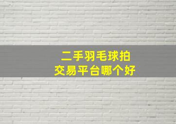 二手羽毛球拍交易平台哪个好