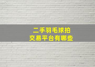 二手羽毛球拍交易平台有哪些