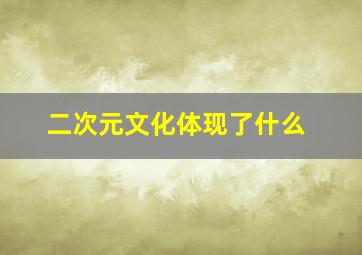 二次元文化体现了什么