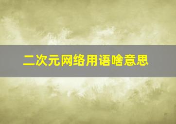 二次元网络用语啥意思