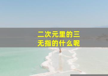 二次元里的三无指的什么呢