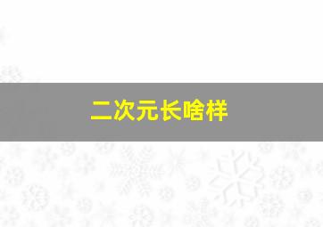 二次元长啥样