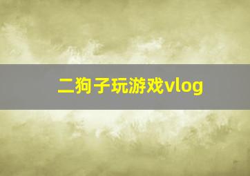 二狗子玩游戏vlog