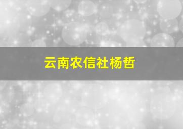 云南农信社杨哲