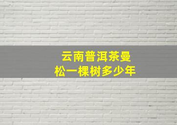 云南普洱茶曼松一棵树多少年