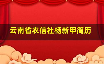 云南省农信社杨新甲简历