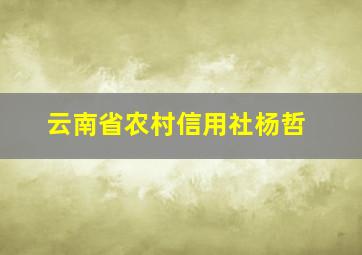 云南省农村信用社杨哲