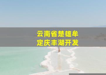 云南省楚雄牟定庆丰湖开发