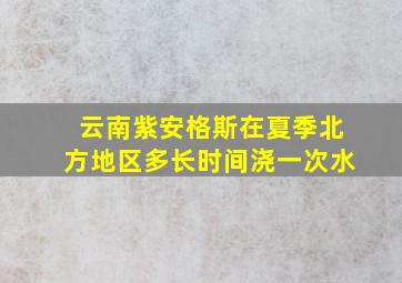 云南紫安格斯在夏季北方地区多长时间浇一次水