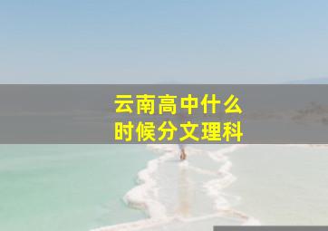 云南高中什么时候分文理科