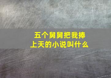 五个舅舅把我捧上天的小说叫什么