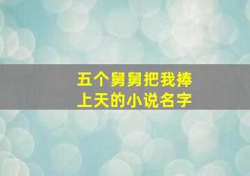 五个舅舅把我捧上天的小说名字