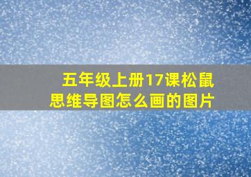 五年级上册17课松鼠思维导图怎么画的图片