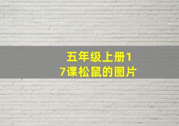 五年级上册17课松鼠的图片