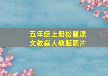 五年级上册松鼠课文教案人教版图片