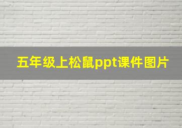 五年级上松鼠ppt课件图片