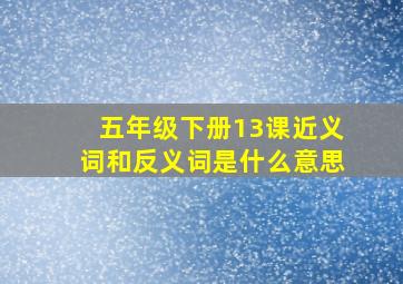 五年级下册13课近义词和反义词是什么意思