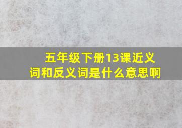 五年级下册13课近义词和反义词是什么意思啊