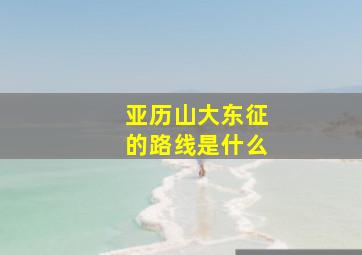 亚历山大东征的路线是什么