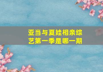 亚当与夏娃相亲综艺第一季是哪一期