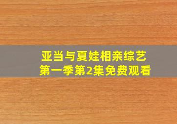 亚当与夏娃相亲综艺第一季第2集免费观看