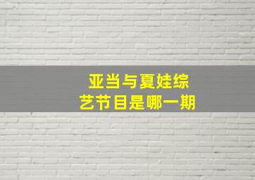 亚当与夏娃综艺节目是哪一期