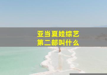 亚当夏娃综艺第二部叫什么