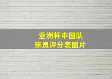 亚洲杯中国队球员评分表图片