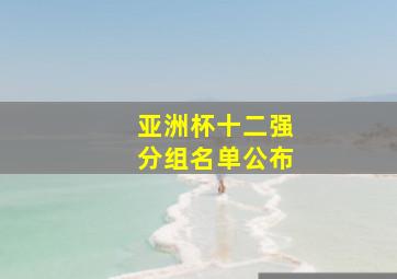 亚洲杯十二强分组名单公布