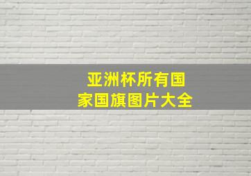 亚洲杯所有国家国旗图片大全