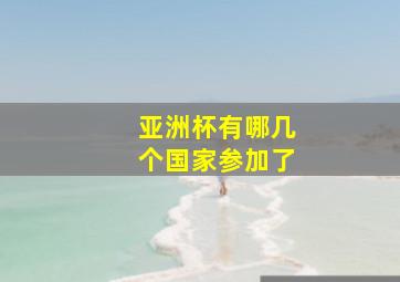 亚洲杯有哪几个国家参加了