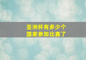 亚洲杯有多少个国家参加比赛了