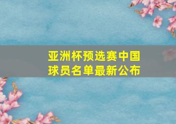 亚洲杯预选赛中国球员名单最新公布