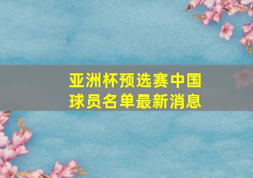 亚洲杯预选赛中国球员名单最新消息